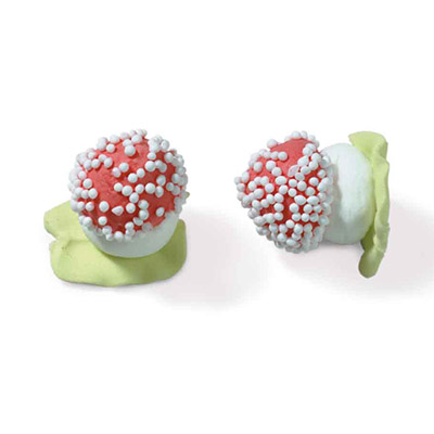 [08031320] 1051320 SUGAR MUSHROOMS 2.7CM 144PCS
