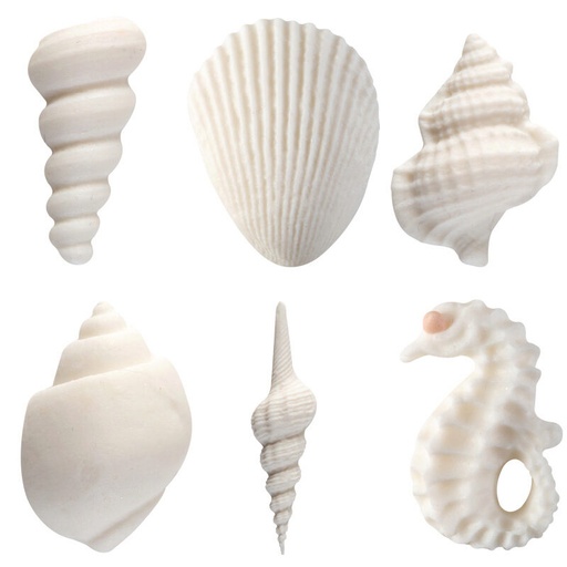 [08063336] 1024712 ASSORTIMENTS DE COQUILLAGES EN SUCRE   72 PCES ***S/CDE***