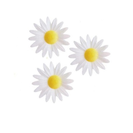 [70407020] M01 MADELIEFJE HOSTIE WIT 45MM100 STUKENS = DOOS