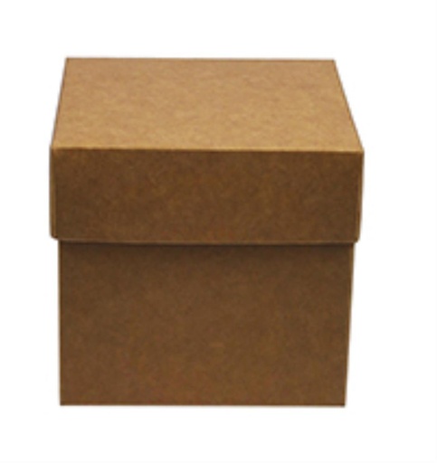 [42500117] KRAFT CUBE BOX 90X90X85MM PAK VAN 10 STUKS FOST PLUS INBEGREPEN