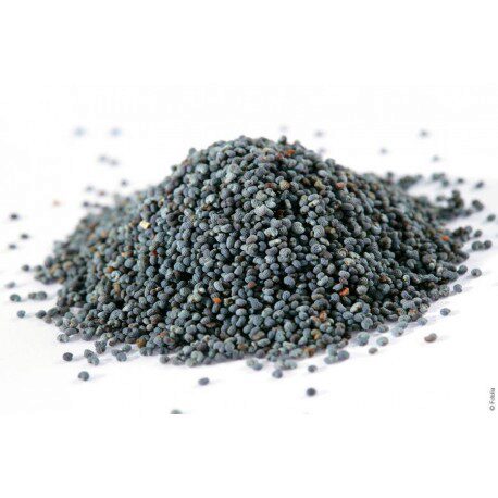 [08010058] GRAINES DE PAVOT  1KG