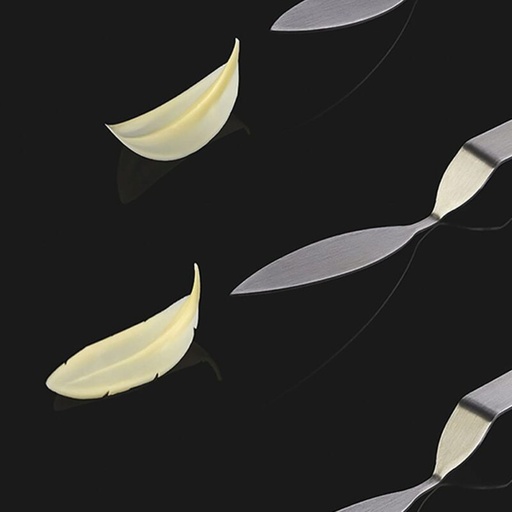 [70408798] STAINLESS STEEL SPOON DECORATED WITH FEATHER LEAF "XL" 120X24MM