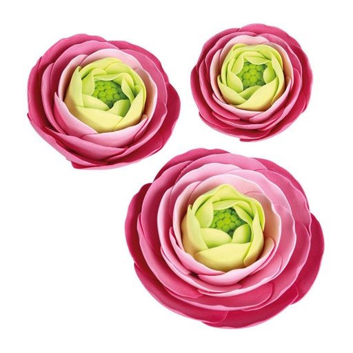 [08081238] 1066030 ASS RENONCULES FANTÉSIE ROSE 27PCES ***S/CDE***