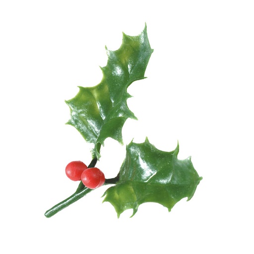 [08030482] 1059812 FEUILLE D HOUX VERT AVEC 2 FEUILLES 8,3 X 7,9 CM 144PCES