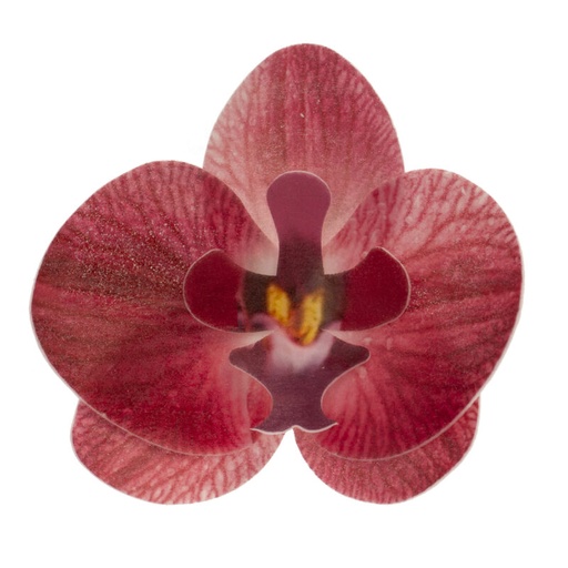 [08041066] ORCHIDEE BORDEAUX 75X85MM WAFELTJE 10 ST