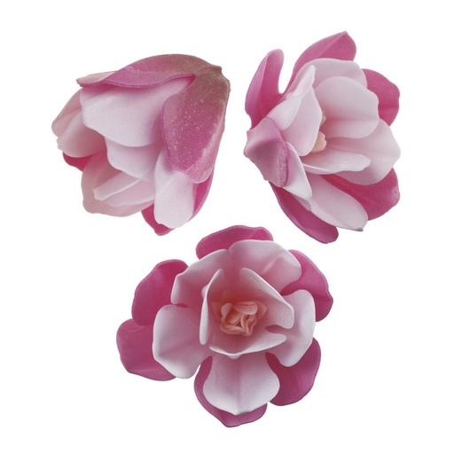 [08041535] FLEUR MAGNOLIE AZYME 6.5-7CM 6 PCES