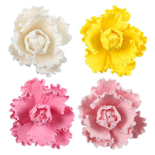 [08074234] 1066057 PIVOINE ASS 16PCES ***S/CDE***