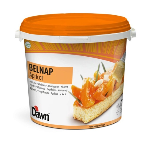 [03040119] DAWN BELNAP BLONDE APRICOT FROSTING 14KG BUCKET