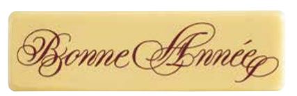 [08056715] 060462 PCB RECTANGLES CB BONNE ANNÉE 7X2 CM 55PCES***S/CD***