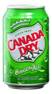 [06100419] DRINK CANADA DRY 24X33CL BLIKJE = TRAY