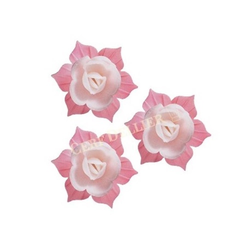 [70407018] J02 GELE NARCIS HOSTIE ROZE EN WIT 45MM28 STUKENS = DOOS