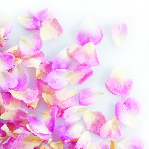 [08058137] 088207 PCB MINI FREEZE-DRIED ROSE PETALS PALE PINK 2GR ***ON/ORDER***