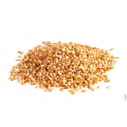 [05101924] SESAMZAADJES GOUDKLEURIGE BACK EUROP 15X1KG = ZAK