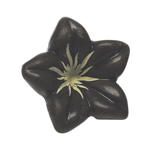 [08080982] *FF* 1054014 FLEUR NOIRE 76PCES ***S/CDE***