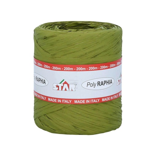 [70407806] POLY RAPHIA 15MM X 200M VERT MOUSSE R41