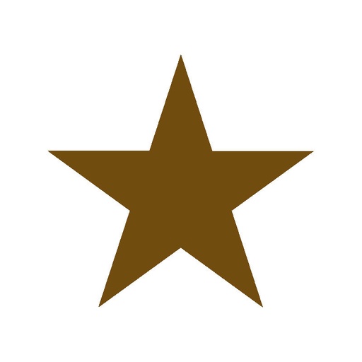 [08030613] 2092700 LARGE STAR 60PCES ***S/CDE***