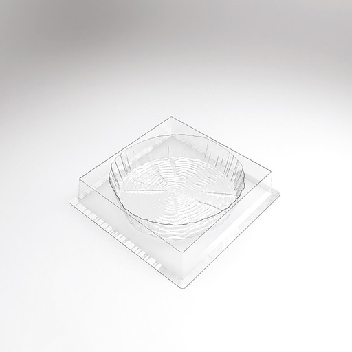 [08057620] 070517 PCB MOULDS ENTREMETS SOUCHE FOR 30 PIECES Ø 18 CM P 4 CM 30PCES ***S/CD***