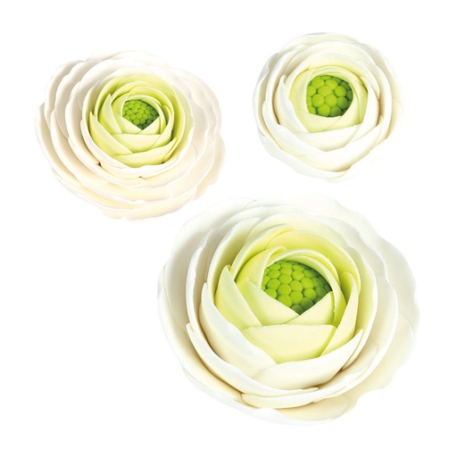[08081236] *FF*1066028 ASSORTMENT OF WHITE RANUNCULUS 27PCS ***ON ORDER***