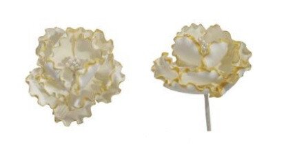[08054897] 66016 BLOEM PEONY 6CM 16PCS ***OP/ORDER***