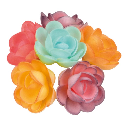 [08050324] RGN500 LARGE ROSE 50MM NUANCED WAFER ON PASTEL BACKGROUND 36 PCES