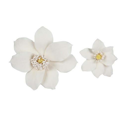 [08081220] 1066005 ASSORTIMENT WITTE CLEMATIS 16 STUKS ***OP BESTELLING***