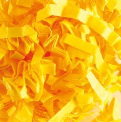 [70410045] +FRISURE PLISSEE CITRON 1.250KG FOST+ INBEGREPEN