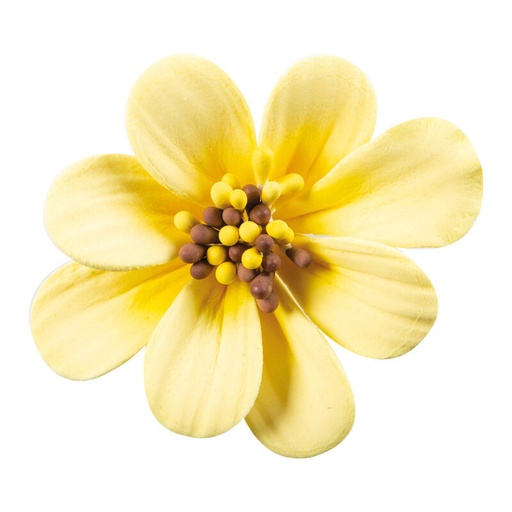 [08054315] *FF* 1066097 FLEUR DE LYS JAUNE PASTILLAGE 5CM 36 PCES ***S/CDE***