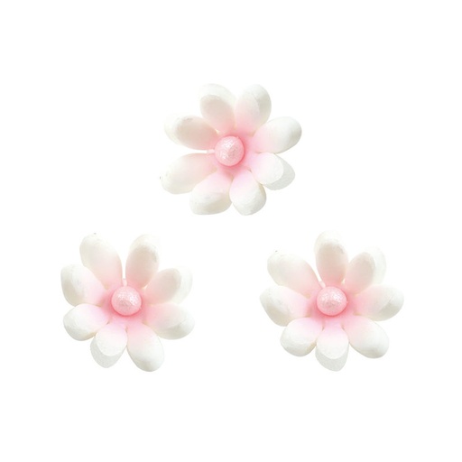 [08074182] 1062008 WHITE MARGUERITE 105 PCES***S/CD***