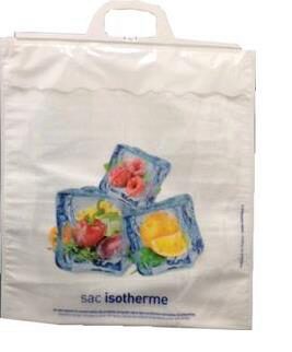 [70410570] SAC ISOTHERME 20 L AVEC POIGNÉE BLANCHE45X50CM
