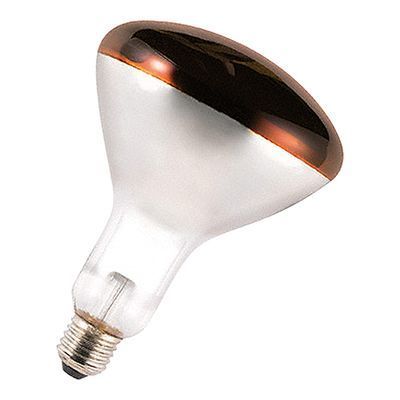 [57660458] 250W RODE ENKELE LAMP VOOR LAMPENKAP