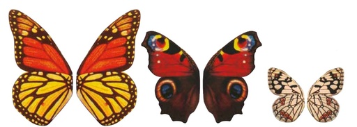 [08057126] 061301 PCB AILES DE PAPILLONS CB 10 DESIGNS 220PCES ***S/CD***