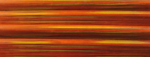 [08056587] 060141 PCB BEDRUKTE VELLEN PALISSANDER 40X25 CM 17 STUKS ***S/CD***