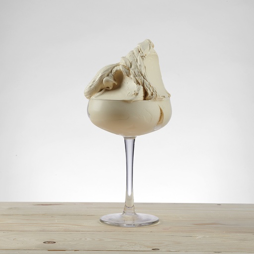 [07060304] PREGEL PANNACREMA GECONCENTREERDE SMAAK CARAMEL LATTE 1,3KG