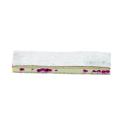 [02040135] ❄️VAMIX B252 BANDE DE BAVAROIS MACARON AUX FRAMBOISES 36X8CM 700GR