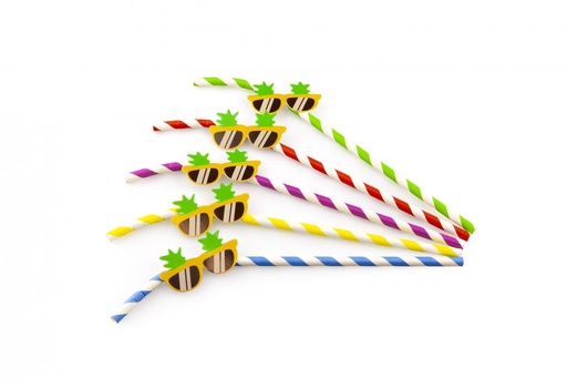 [53533123] SIER PAILLE PAPIER LIGNEE ASSORTIE AVEC LUNETTES24CM Ø6MM 50PCES