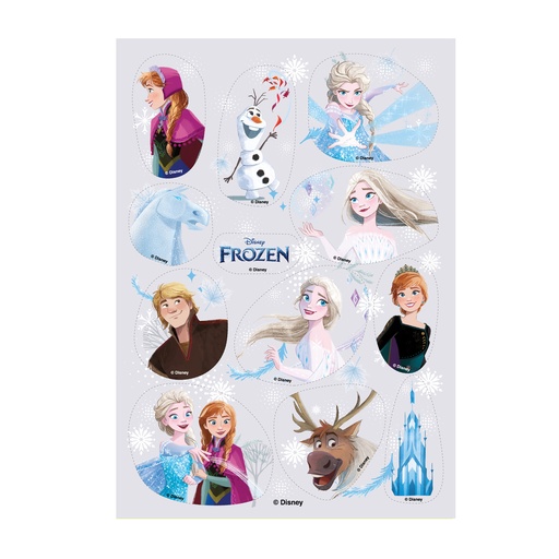 [08041916] 12 FROZEN DECORS 2 WAFER TO CUT