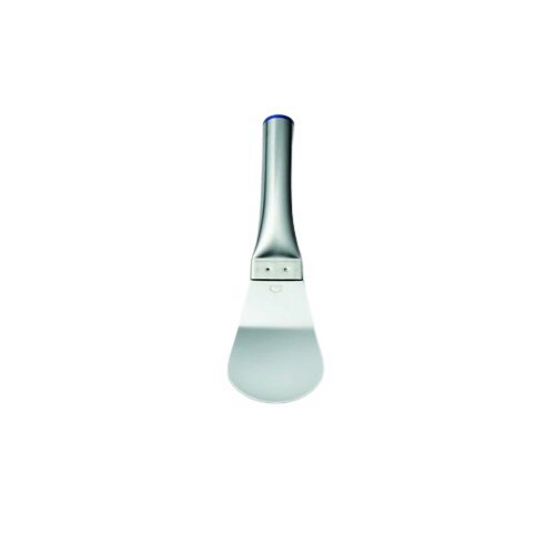 [53902001] INOX PLATE EN GEBOOGD IJSSPATEL 24,5CM MODEL SR=STUK