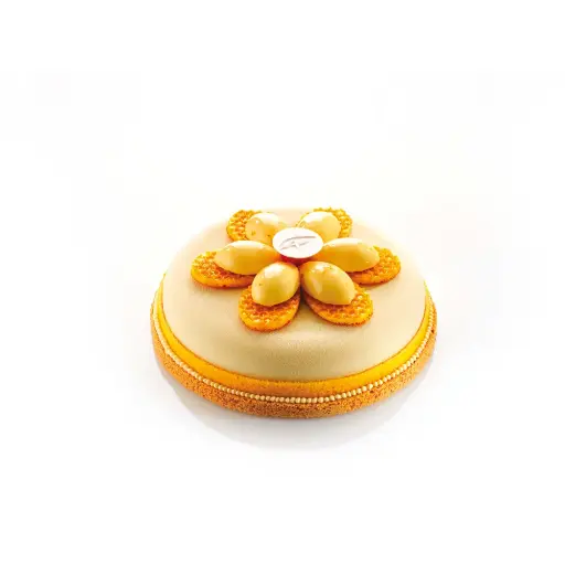 [08057609] 087012 PCB ROUND FLAT ROUNDED ENTREMET MOULDS FOR 100 PCS Ø 16 CM D. 3.5 CM 100PCS ***ON/ORDER***
