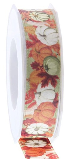 [60700531] RUBAN SATIN LAITONNÉ HELLO AUTUMN 25MM X 20M