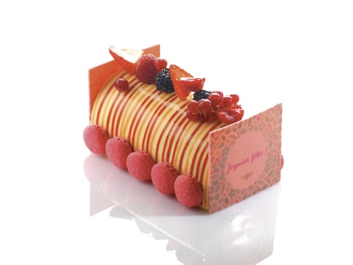 [08056577] 060126 PCB FEUILLES IMPRIMÉES PET ACIDULÉE POUR BÛCHE 52,7X17,7 CM 25PCES ***S/CD***