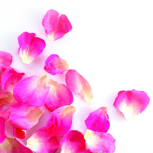 [08058139] 088209 PCB KLEINE GEVRIESDROOGDE ROZENBLAADJES HELDER ROZE 2GR ***OP BESTELLING***