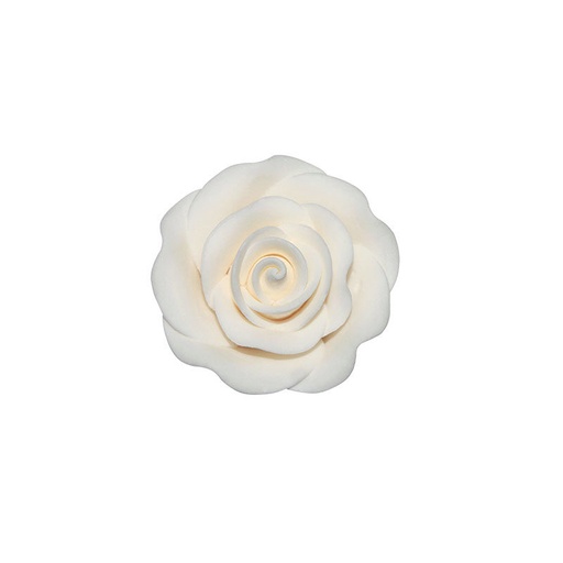 [08081254] 66052 WITTE ROOS MEDIUM 64 STUKKEN = DOOS
