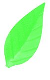 [08038010] FL01 LIGHT GREEN BINDAWIRE LEAVES 40MM 500 PCES