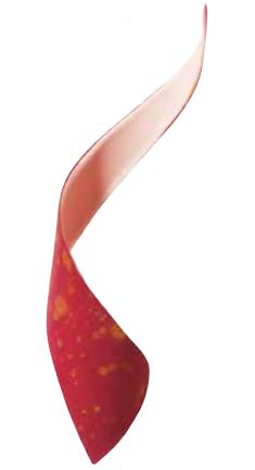 [08057118] 061291 PCB GESPOTEN CB SPIRAL ROOD 176PCS ***S/CD***