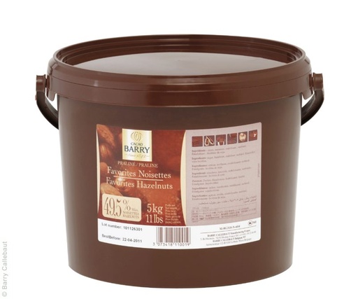 [03070550] *FF* BARRY PRN-HA50CBY-E0-T60 PRALINE AMANDES NOISETTES 5 KG 