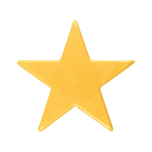 [08039916] 13581 STER GOUD GROOT 30 STUKKEN = DOOS